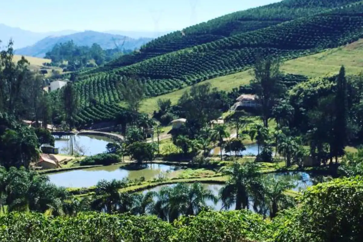 Café do Circuito das Águas Paulista roteiro cafés especiais